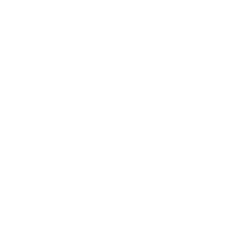 Rectangle 1331